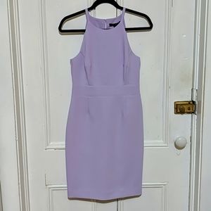 NWT Banana Republic Lilac Highneck Dress